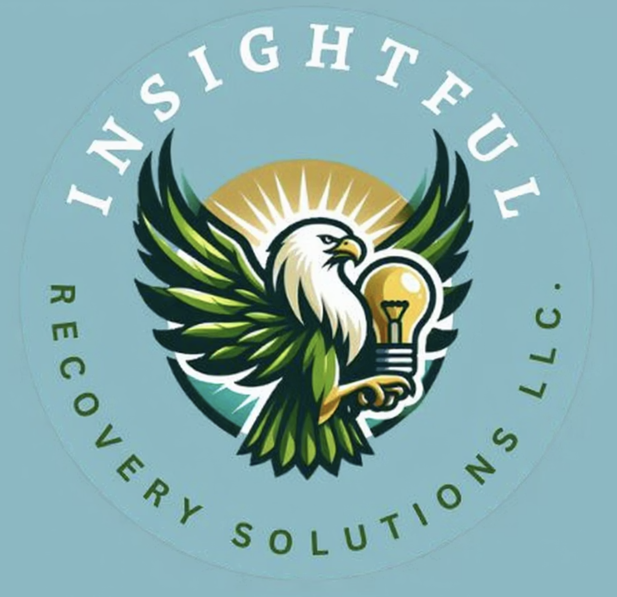Insightful Recovery Solutions